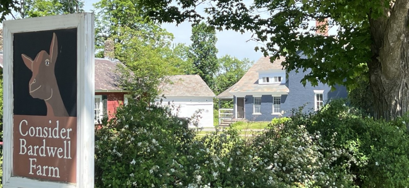IMG 0559