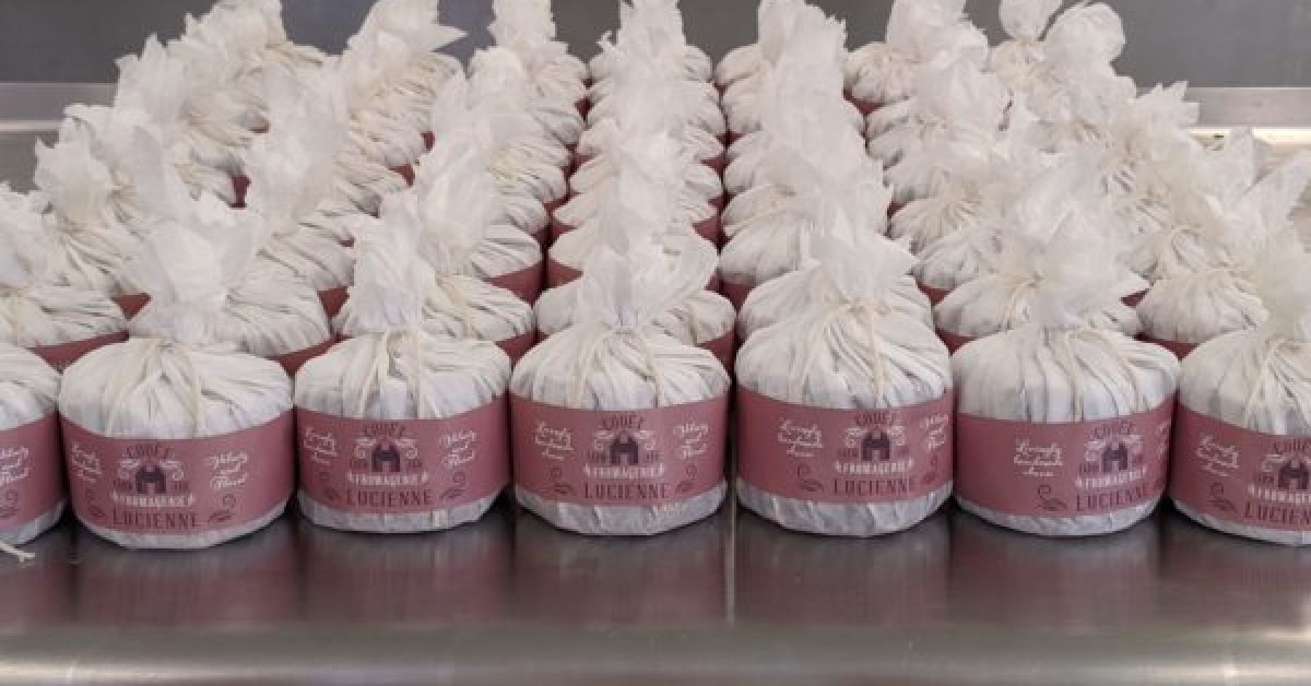 Cheesemaking Company for Sale American Cheese Society